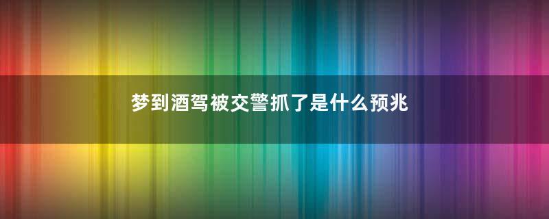 梦到酒驾被交警抓了是什么预兆是什么意思