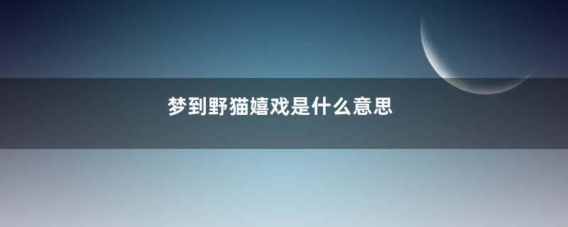梦到野猫嬉戏是什么意思