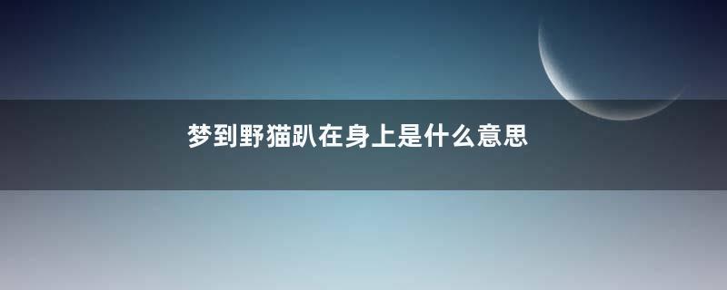 梦到野猫趴在身上是什么意思