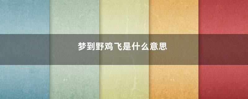 梦到野鸡飞是什么意思