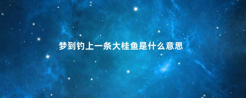 梦到钓上一条大桂鱼是什么意思