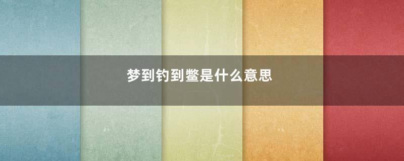 梦到钓到鳖是什么意思