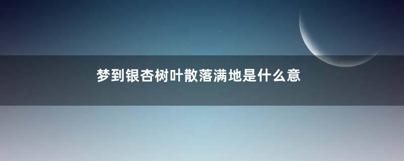 梦到银杏树叶散落满地是什么意思