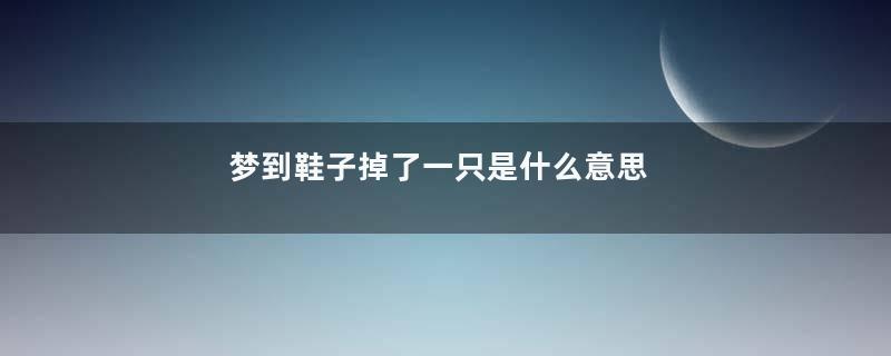 梦到鞋子掉了一只是什么意思