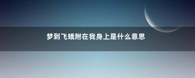 梦到飞蛾附在我身上是什么意思