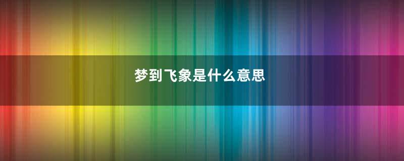 梦到飞象是什么意思