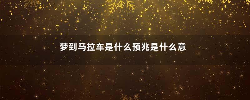 梦到马拉车是什么预兆是什么意思