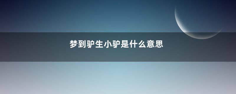 梦到驴生小驴是什么意思