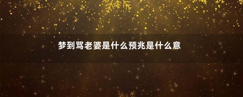 梦到骂老婆是什么预兆是什么意思