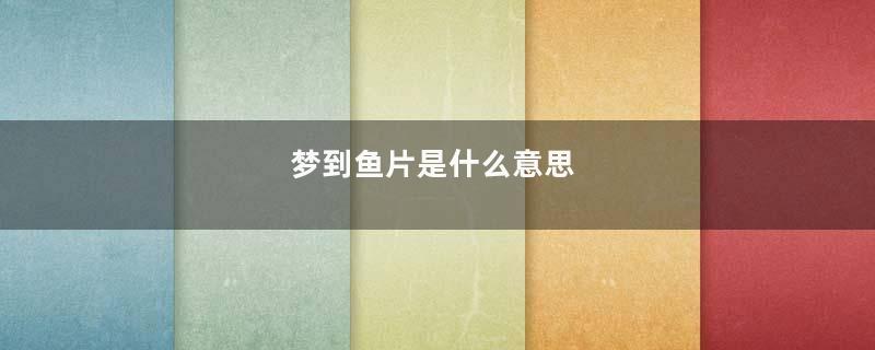 梦到鱼片是什么意思
