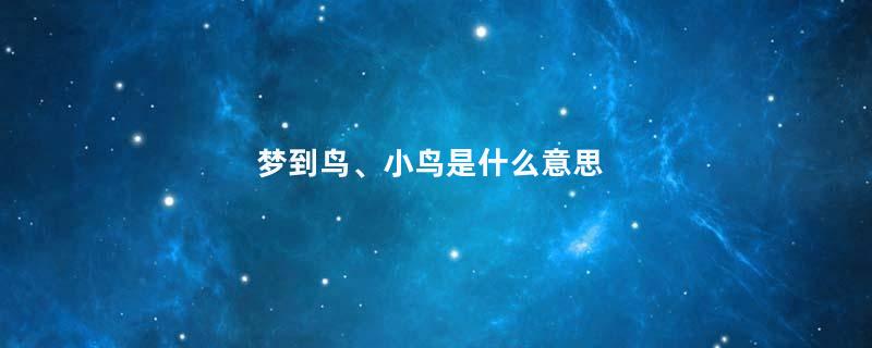 梦到鸟、小鸟是什么意思