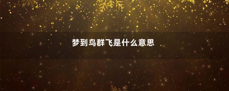 梦到鸟群飞是什么意思