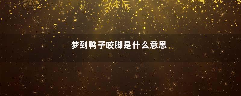 梦到鸭子咬脚是什么意思