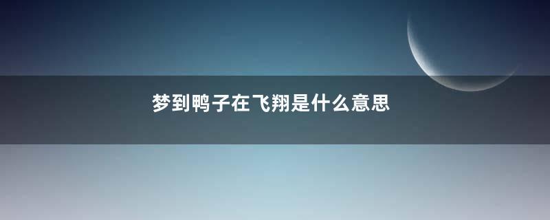 梦到鸭子在飞翔是什么意思