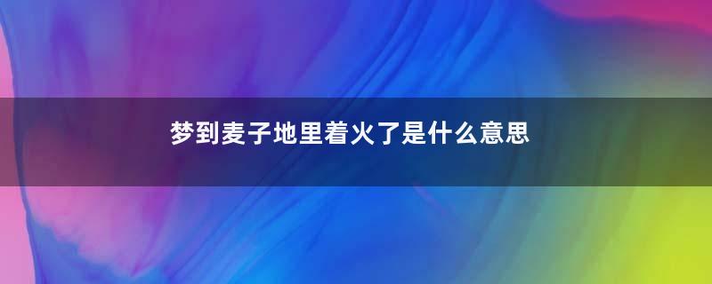 梦到麦子地里着火了是什么意思