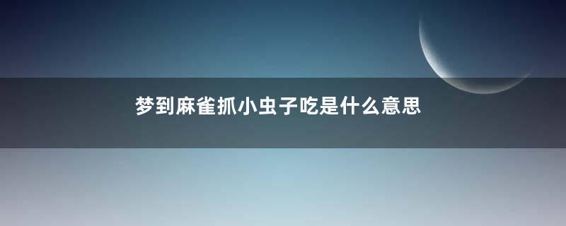梦到麻雀抓小虫子吃是什么意思