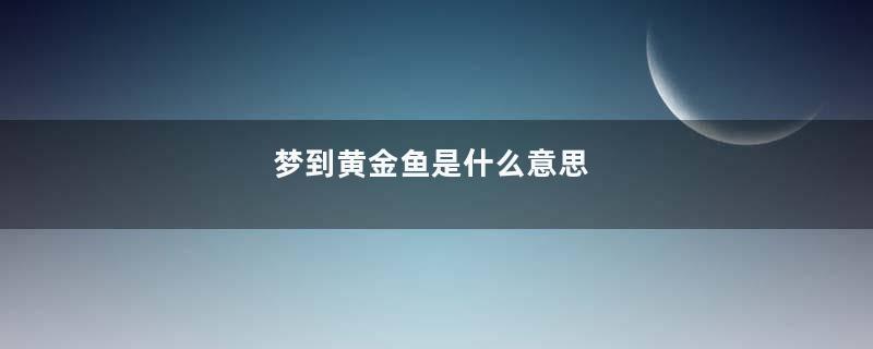 梦到黄金鱼是什么意思