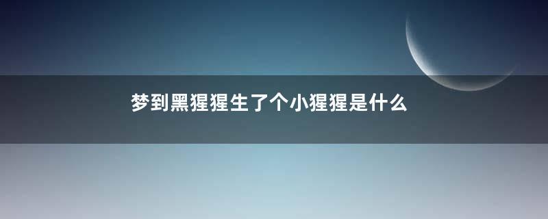 梦到黑猩猩生了个小猩猩是什么意思