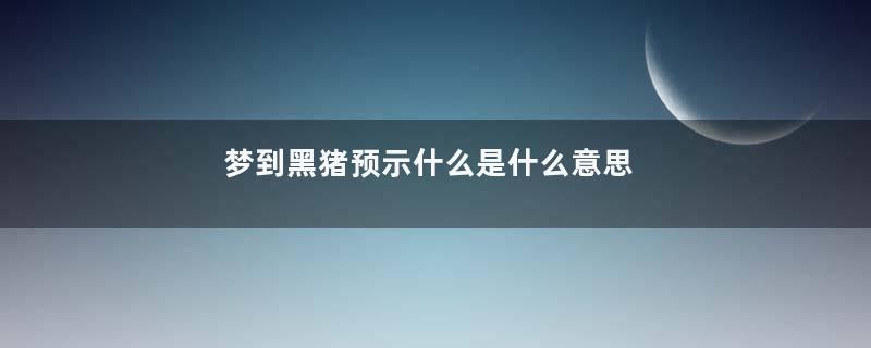 梦到黑猪预示什么是什么意思