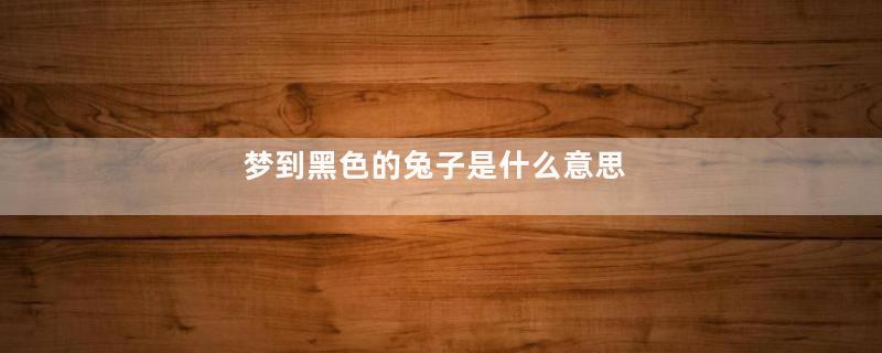 梦到黑色的兔子是什么意思