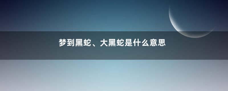 梦到黑蛇、大黑蛇是什么意思