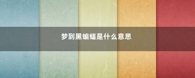 梦到黑蝙蝠是什么意思