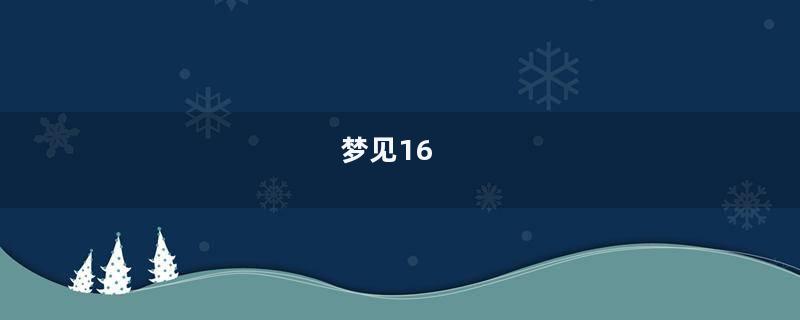 梦见16
