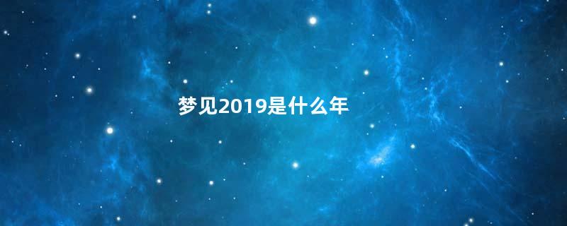 梦见2019是什么年