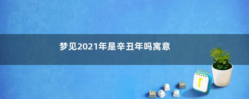 梦见2021年是辛丑年吗寓意着什么