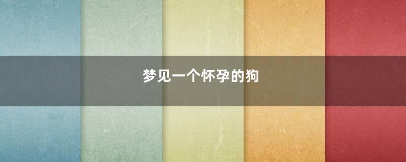 梦到一个怀孕的狗