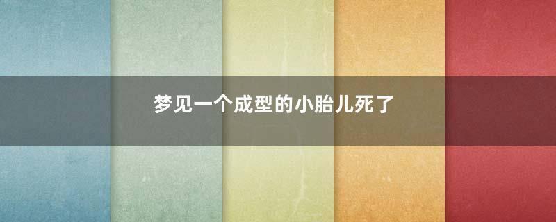 梦到一个成型的小胎儿死了