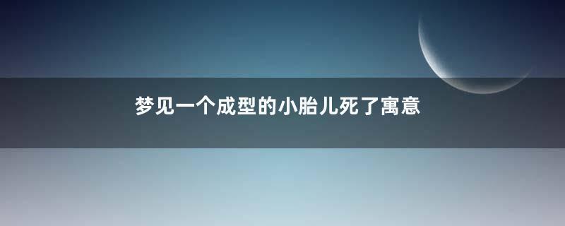 梦见一个成型的小胎儿死了寓意着什么意思