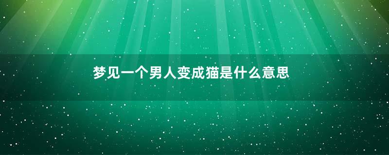 梦见一个男人变成猫是什么意思