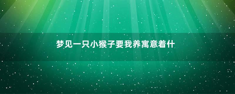 梦见一只小猴子要我养寓意着什么意思