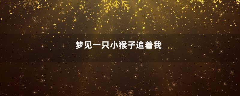 梦见一只小猴子追着我