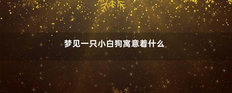 梦见一只小白狗寓意着什么