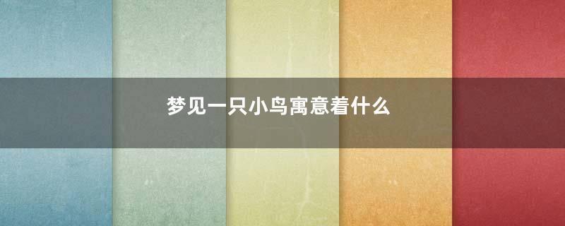 梦见一只小鸟寓意着什么