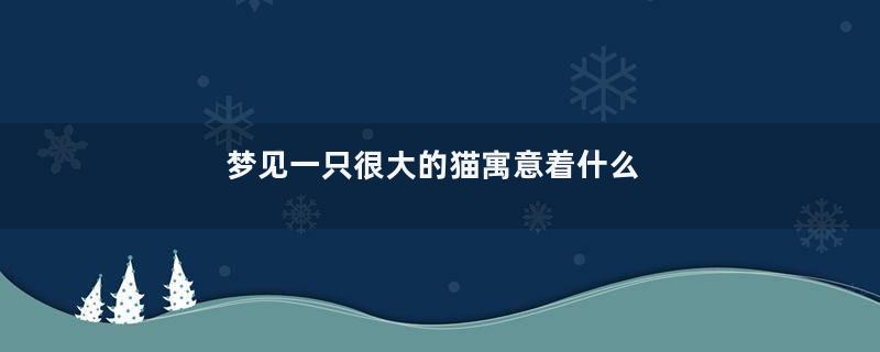 梦见一只很大的猫寓意着什么