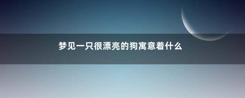 梦见一只很漂亮的狗寓意着什么