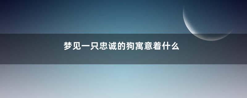 梦见一只忠诚的狗寓意着什么