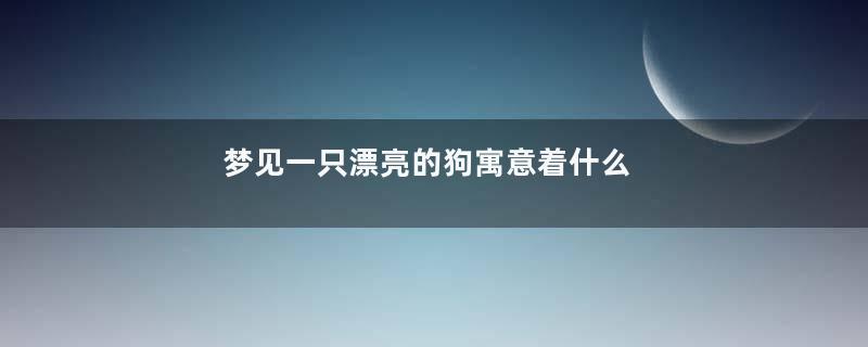 梦见一只漂亮的狗寓意着什么