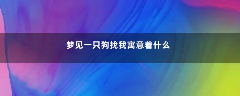 梦见一只狗找我寓意着什么