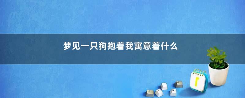 梦见一只狗抱着我寓意着什么