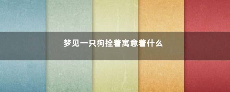 梦见一只狗拴着寓意着什么