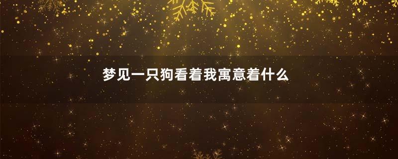 梦见一只狗看着我寓意着什么