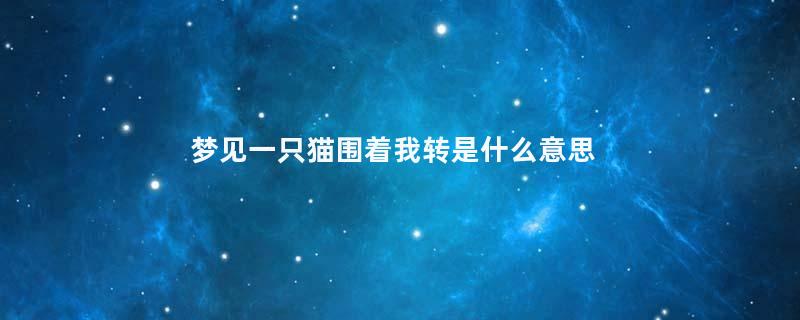 梦见一只猫围着我转是什么意思