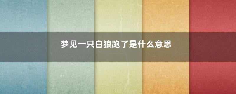 梦见一只白狼跑了是什么意思