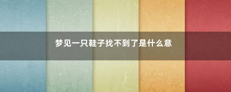 梦见一只鞋子找不到了是什么意思好不好