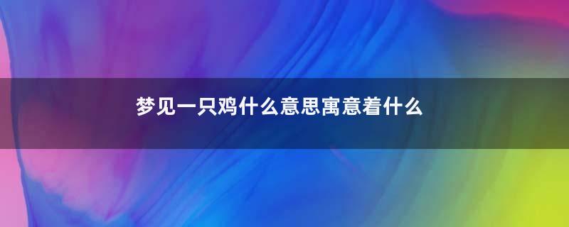 梦见一只鸡什么意思寓意着什么