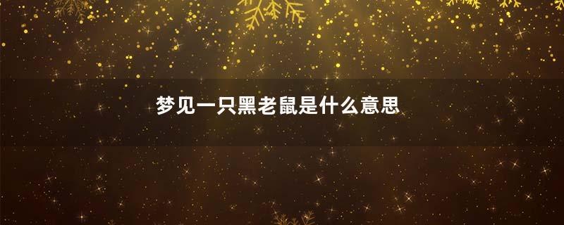 梦见一只黑老鼠是什么意思